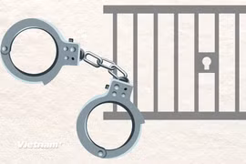 Thanh Hóa: Khởi tố ba đối tượng mua bán lợn nhiễm dịch tả lợn châu Phi