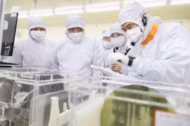 Thủ tướng Phạm Minh Chính thăm dây chuyền sản xuất chíp bán dẫn của Công ty TNHH Hana Micro Vina. (Ảnh: Dương Giang/TTXVN)
