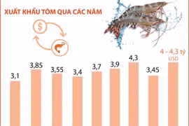 Dự báo xuất khẩu tôm sẽ phục hồi và tăng nhẹ trong năm 2024 