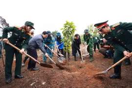 Thủ tướng Phạm Minh Chính trồng cây tại Lễ phát động “Tết trồng cây Đời đời nhớ ơn Bác Hồ.” (Ảnh: Dương Giang/TTXVN)