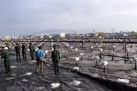 Khu xử lý dioxin tại sân bay Đà Nẵng. Ảnh minh họa. (Ảnh: Trần Lê Lâm/TTXVN) 