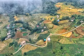 Thung lũng Mường Hoa, Sa Pa mùa nước đổ. (Ảnh: Xuân Mai/Vietnam+) 