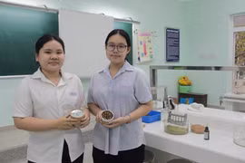 Hai em học sinh Nguyễn Hoàng Nhật Linh và Kiều Khánh An (bên trái) trong phòng thí nghiệm và sản phẩm nụ hương tinh dầu bạch đàn tự nhiên, có hiệu quả cao trong việc đuổi muỗi, phòng chống sốt xuất huyết. (Ảnh: Phan Sáu/TTXVN)