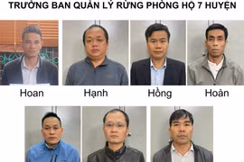 Trưởng Ban Quản lý rừng phòng hộ 7 huyện của tỉnh Lai Châu bị tạm giữ hình sự. (Ảnh: TTXVN phát)