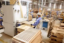 Nhiều doanh nghiệp gỗ gặp khó do hoàn thuế VAT kéo dài. (Nguồn: TTXVN)