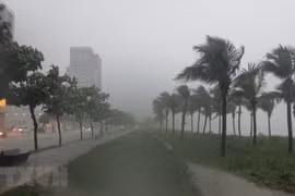 Mưa lũ ở khu vực miền Trung diễn biến phức tạp, có nơi lượng mưa 800mm