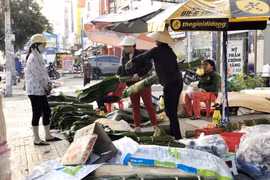 Người dân mua lá dong về gói bánh chưng tại chợ phiên trên tuyến đường Cách Mạng Tháng Tám, quận Tân Bình, Thành phố Hồ Chí Minh. (Ảnh: Mỹ Phương/TTXVN)