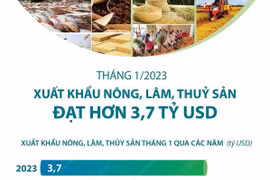 Xuất khẩu nông, lâm, thủy sản trong tháng 1 đạt hơn 3,7 tỷ USD