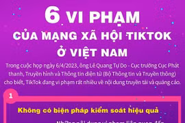 [Infographics] 6 vi phạm của mạng xã hội TikTok ở Việt Nam