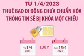 Từ 1/4, thuê bao di động chưa chuẩn hóa thông tin sẽ bị khóa một chiều