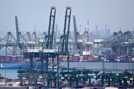 Vận chuyển hàng hóa tại cảng Pasir Panjang ở Singapore. (Ảnh: AFP/TTXVN) 