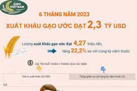 [Infographics] Xuất khẩu gạo ước đạt 2,3 tỷ USD trong 6 tháng năm 2023