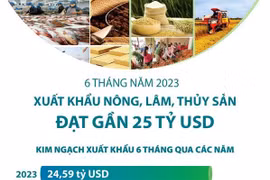 Xuất khẩu nông, lâm, thủy sản trong 6 tháng năm 2023 đạt gần 25 tỷ USD