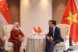 Chủ tịch nước Võ Văn Thưởng gặp Tổng thống Singapore Halimah Yacob. (Ảnh: Thống Nhất/TTXVN) 