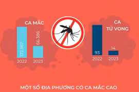 Cả nước ghi nhận gần 67.000 ca mắc sốt xuất huyết, 14 ca tử vong