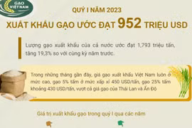 [Infographics] Quý 1/2023, xuất khẩu gạo ước đạt 952 triệu USD