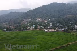 Ảnh minh họa. (Ảnh: Hùng Võ/Vietnam+) 