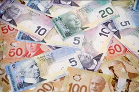 Đồng đôla Canada. (Ảnh: CFI/TTXVN) 