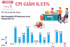 [Infographics] Chỉ số giá tiêu dùng tháng 3 năm 2023 giảm 0,23%