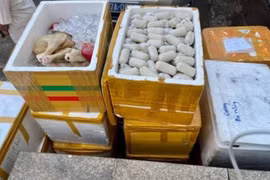 Đắk Lắk: Bắt xe tải vận chuyển thực phẩm, mỹ phẩm không rõ nguồn gốc