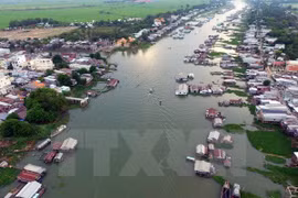 Sông Cửu Long. (Nguồn: TTXVN)