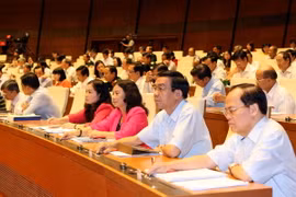 Đại biểu Quốc hội biểu quyết Dự án Cảng Hàng không quốc tế Long Thành. (Ảnh: Phạm Kiên/TTXVN)