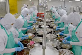 Chế biến thủy sản xuất khẩu. (Ảnh: Bùi Như Trường Giang/TTXVN)