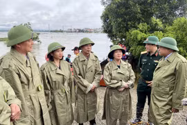 Các đồng chí Thường trực Thành ủy Hà Nội kiểm tra công tác phòng chống lũ tại xã Nam Phương Tiến, huyện Quốc Oai. (Ảnh: Nguyễn Văn Cảnh/TTXVN)