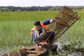 Du khách trải nghiệm một ngày làm nông dân miền Tây. (Ảnh: Chương Đài/TTXVN)