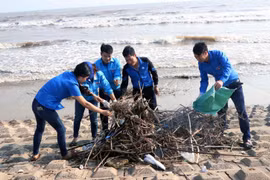 Lực lượng đoàn viên, thanh niên làm vệ sinh bãi biển Lộc Hà, Hà Tĩnh. (Ảnh: Công Tường/TTXVN)