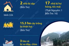 Thiệt hại do thiên tai xảy ra ngày 8 và 9/6/2024 tại một số địa phương