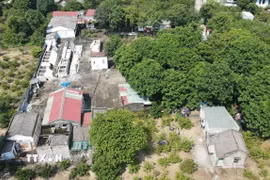 Ảnh minh họa. (Nguồn: TTXVN)