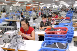 Dây chuyền sản xuất hàng may mặc xuất khẩu của Công TNHH Thời trang STAR, vốn đầu tư của Singapore, tại Khu công nghiệp Phú Nghĩa (huyện Chương Mỹ, Hà Nội). (Ảnh: Danh Lam/TTXVN)