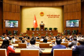 Quang cảnh phiên họp Quốc hội sáng 28/10. (Ảnh: Doãn Tấn/TTXVN)