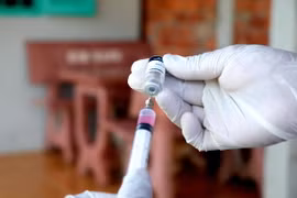 Tiêm vaccine phòng bệnh dại cho chó, mèo. (Ảnh: Thu Hiền /TTXVN)