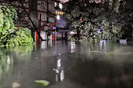 Bão số 3 đổ vào Hà Nội đã khiến cho hai hàng cây trên tuyến phố Dương Văn Bé (quận Hai Bà Trưng) đổ la liệt, cùng với nước ngập sâu tràn vào nhiều nhà dân. (Ảnh: Thanh Tùng/TTXVN)
