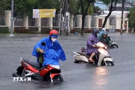 Ảnh minh họa. (Nguồn: TTXVN)