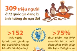Số liệu về an ninh lương thực toàn cầu 