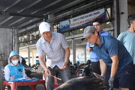 Thương lái thu mua cá tại Cảng Hòn Rớ. (Ảnh: Đặng Tuấn/TTXVN)