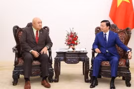 Phó Thủ tướng Trần Hồng Hà tiếp ông Saia Ma'u Piukala, Giám đốc khu vực Tây Thái Bình Dương của Tổ chức Y tế Thế giới. (Ảnh: Văn Điệp/ TTXVN)