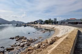 Sau khi được thu gom rác, khu vực bờ kè Đầm Nại đã sạch sẽ hơn. (Ảnh: Nguyễn Thành/TTXVN)