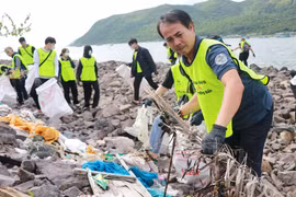 Nhân viên Ban Quản lý vịnh Nha Trang cùng các tình nguyện viên dọn rác tại khu vực bờ kè biển Vĩnh Trường, sát bến tàu du lịch Nha Trang. (Ảnh: Phan Sáu/TTXVN)