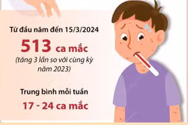 Số ca mắc sốt xuất huyết tại Hà Nội tăng gấp 3 lần 