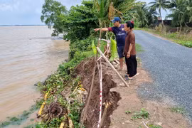 Ảnh minh họa. (Ảnh: Thanh Hòa/TTXVN)