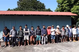 Các đối tượng tham gia cá cược đá gà qua mạng bị bắt giữ. (Ảnh: Thanh Tân/TTXVN)