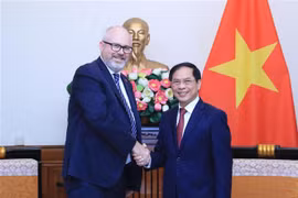 Bộ trưởng Ngoại giao Bùi Thanh Sơn tiếp đồng Bộ trưởng phụ trách Thương mại và Sản xuất Australia Tim Ayres. Ảnh: Lâm Khánh - TTXVN