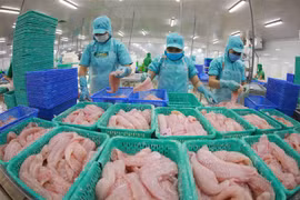 Phó Thủ tướng Phạm Bình Minh đề nghị Hàn Quốc tạo điều kiện cho các mặt hàng nông, thuỷ sản của Việt Nam xuất khẩu sang Hàn Quốc, góp phần thúc đẩy kim ngạch thương mại song phương đạt 100 tỷ USD vào năm 2023. (Ảnh: Vũ Sinh/TTXVN)