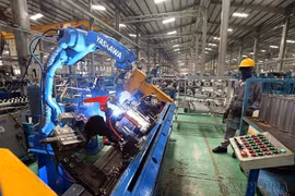 IMF đánh giá Việt Nam là điểm sáng tại khu vực trong tiến trình phục hồi. (Ảnh: Danh Lam/TTXVN)