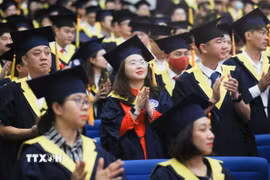 Ảnh minh họa. (Nguồn: TTXVN)