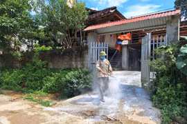 Người dân xã Trần Phú, huyện Na Rì rắc vôi khử trùng ổ dịch. (Ảnh: TTXVN phát)